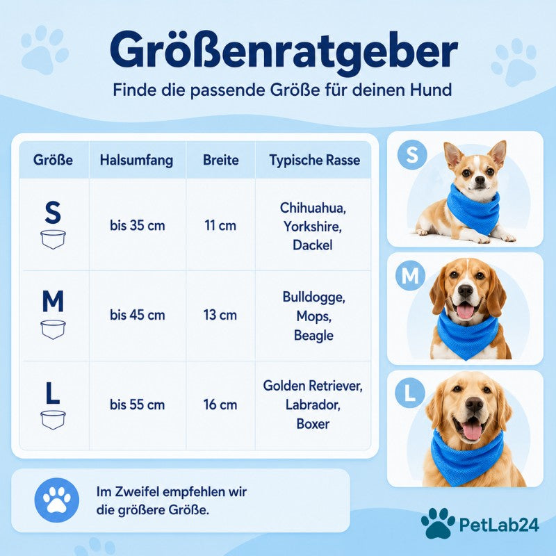 "CoolCollar" - Kühlhalstuch für Hunde