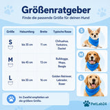 "CoolCollar" - Kühlhalstuch für Hunde