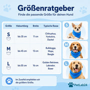 "CoolCollar" - Kühlhalstuch für Hunde