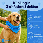 "CoolCollar" - Kühlhalstuch für Hunde
