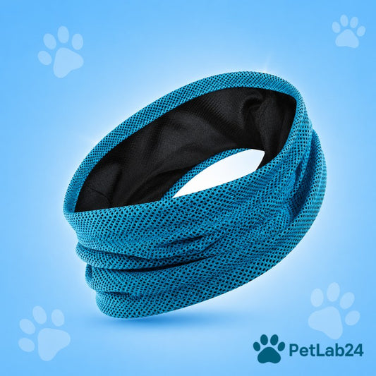 "CoolCollar" - Kühlhalstuch für Hunde