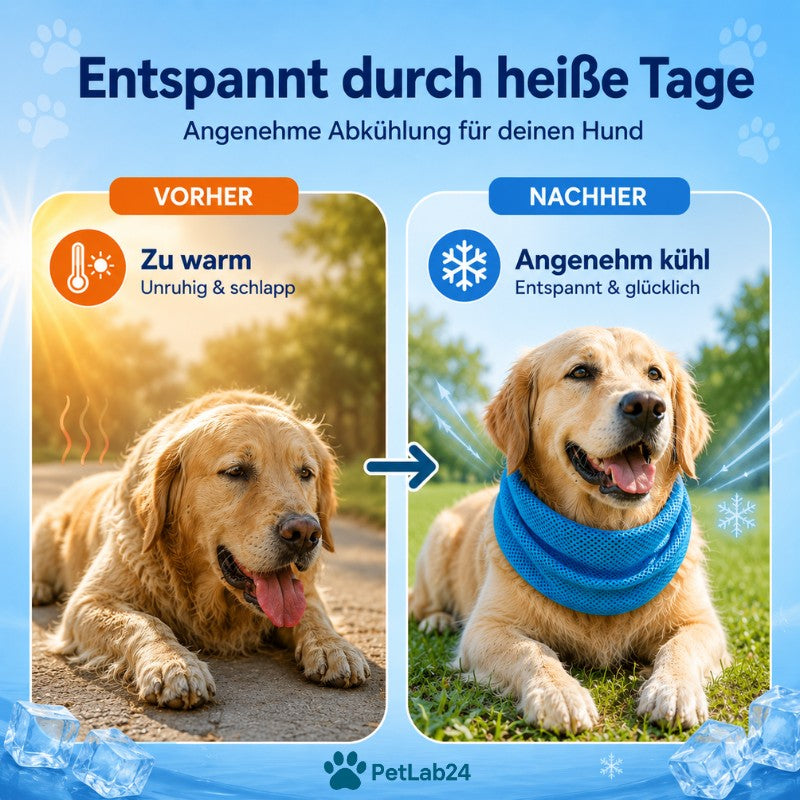 "CoolCollar" - Kühlhalstuch für Hunde