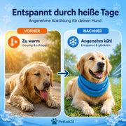 "CoolCollar" - Kühlhalstuch für Hunde