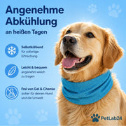 "CoolCollar" - Kühlhalstuch für Hunde
