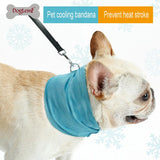 "CoolCollar" - Kühlhalstuch für Hunde