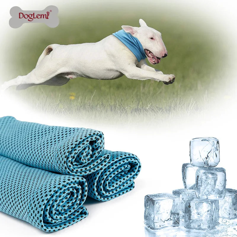 "CoolCollar" - Kühlhalstuch für Hunde