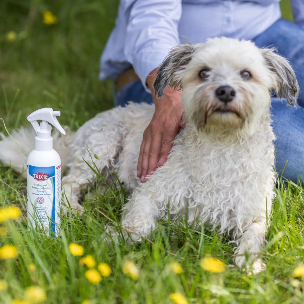 Floh- und Zeckenschutz-Spray - 250ml