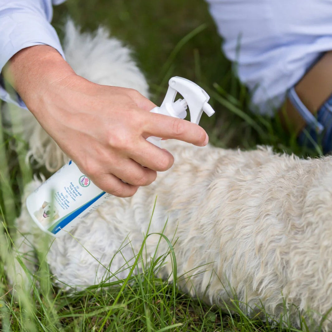 Effektive Wirkformel für langanhaltenden Schutz: