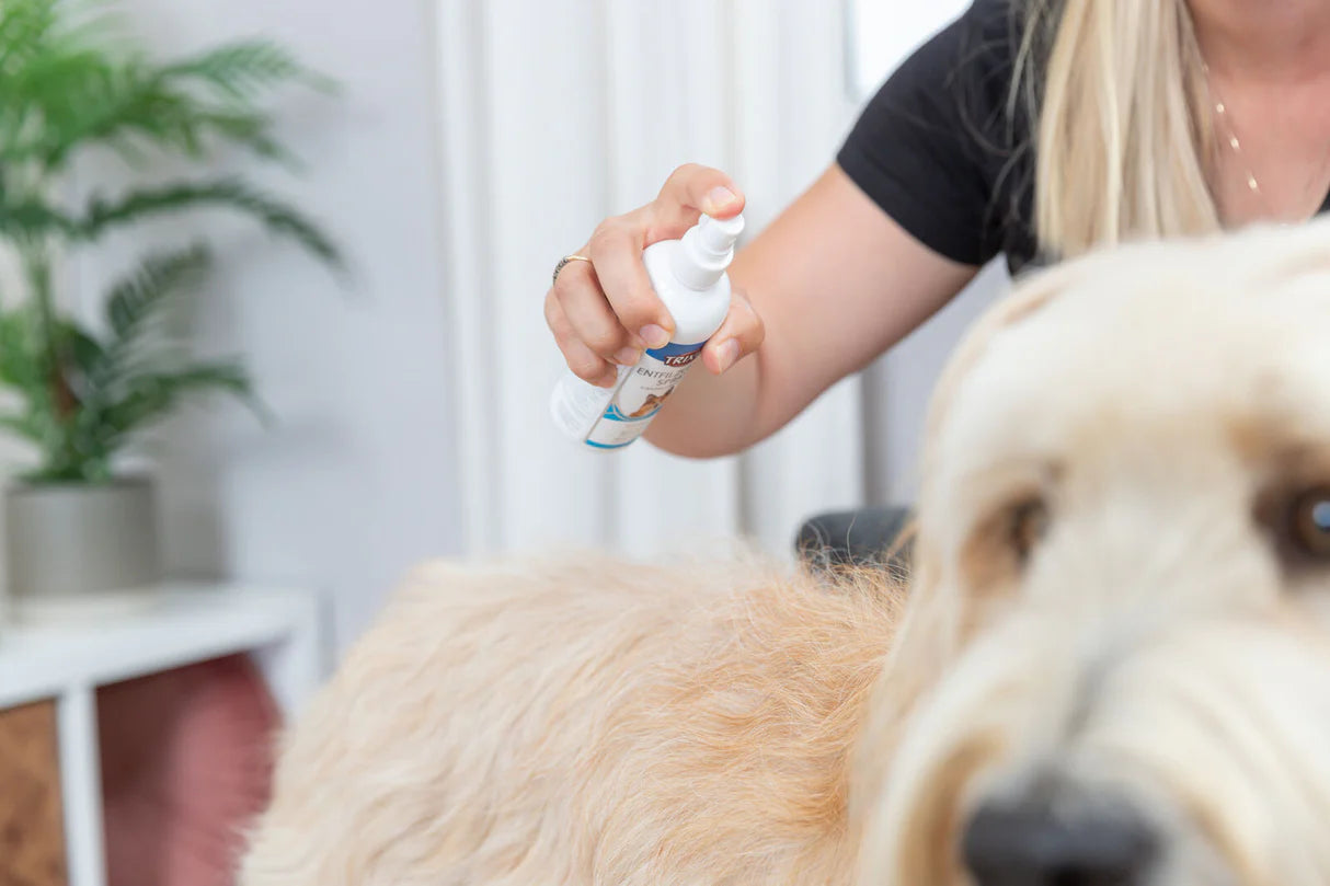 Entfilzungs-Spray - 175ml